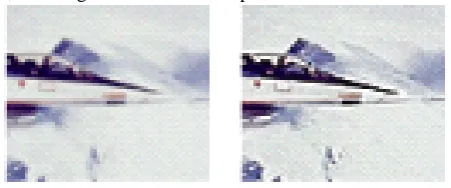 Figure 1.  Example of artifact. (a) original image, (b) image obtained by UM. 
