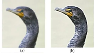 Figure 3.  Test images. (a) image 1, (b) image 2, (c) image 3, (d) image 4, (e) image 5