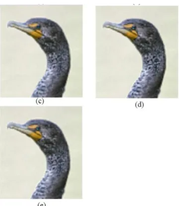 Figure 5.  differences among methods. (a) original input image, (b) ums, (c) pro1, Experimental results for the test image 1