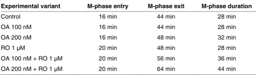 TABLE 3