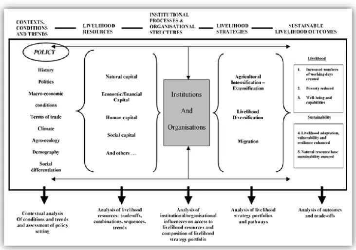 Figure 2.1  Sustainable rural livelihoods: a framework for analysis  