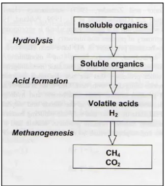 Figure 1.1 Anaerobic digestion described by three processes                                     