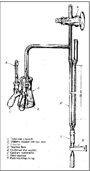 Figure 2.1 The Warburg apparatus (source: Ridge and Seif, 1998) 