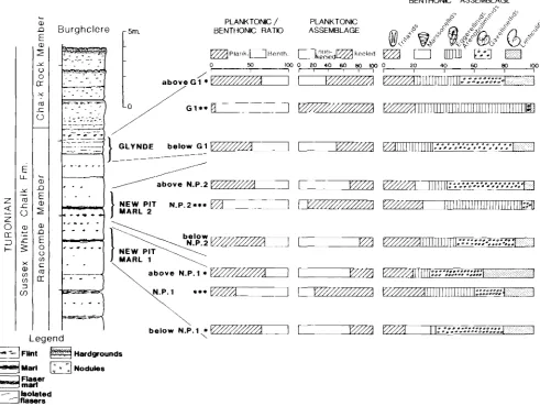 Fig. 2 Foraminaferal a\semblage\ acro55 the three marl bands 