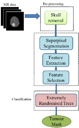 Figure 4-1 The entire workflow of the proposed SP_ERT method 