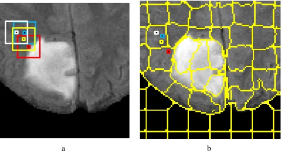 Figure 4-4 Pixel-wise and patch-based calculations schemes. a) pixel-wise, b) patch-based