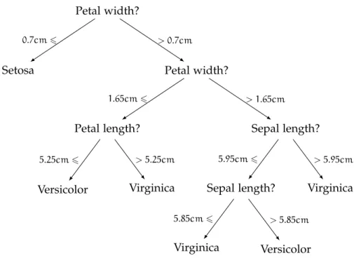 Figure 2.6: A decision tree classifying iris flowers into its Setosa, Versicolor or Virginica varieties according to the width and length of its petals and sepals.
