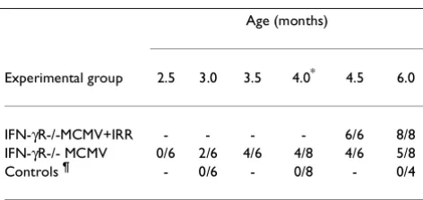 Table 2: Overview of experimental groups of mice and seveverity of vascular disease.