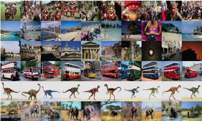 Fig. 9. Example images from the COREL image database used for region based image categorisation.