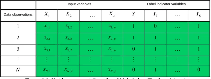 Figure 1.1: Matrix representation of multi-label classification dataset 