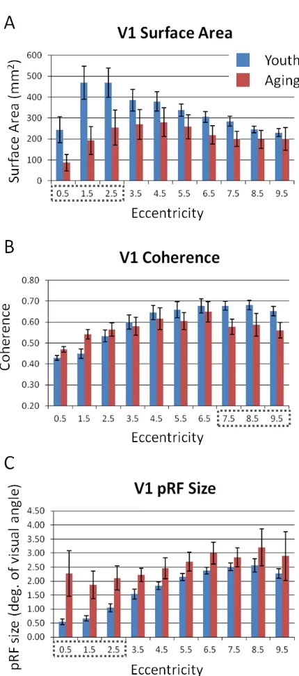 Figure 2Bcoherence of foveal V1 in the aging subjects. Perhaps 