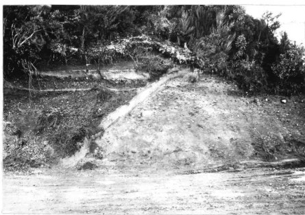 Fig. ~3. Terrace edge in pre-Creighton I till, buried by Creighton I outwash gravels. 