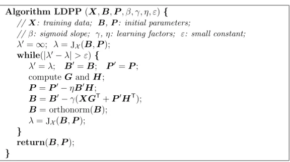 Figure 1: Learning discriminant projections and prototypes (LDPP) algorithm.
