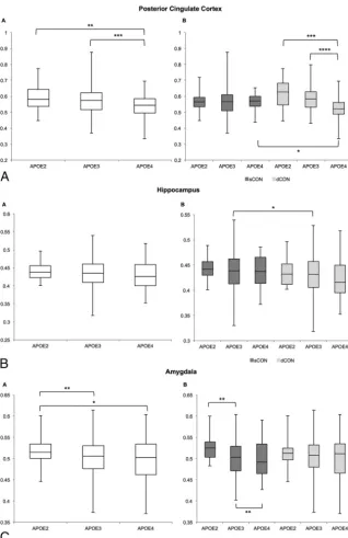 FIG 1. Whole-brain voxel-based morphometry analysis demonstrating higher GM density for thecomparison of APOE*E3 � APOE*E4 in the posterior cingulate cortex