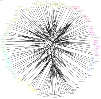 Figure 2: SplitsTree network for 126 stocks from the Shanghai A Stock Exchangefor period one using ﬁve trading day returns to estimate correlations and hencedistances with the stocks in cluster one colour coded.The eight correlationclusters each have diﬀer