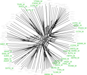 Figure 10: SplitsTree network for study period four with the stocks in the mate-rials sector coloured green.