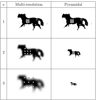 Figure 3.4: Two examples of multi-scale decomposition and a possible sampling pattern for both