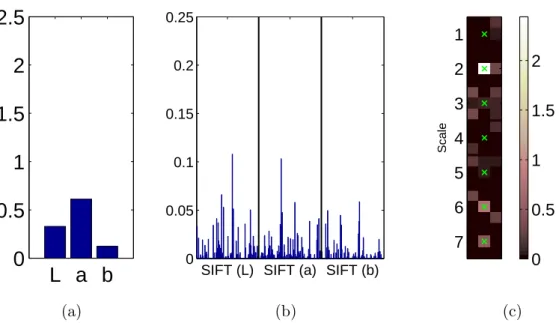 Figure 3.9: The weights Adaboost assigned to the (a) pixel-wise color features, (b) textural SIFT descriptor and (c) contextual features