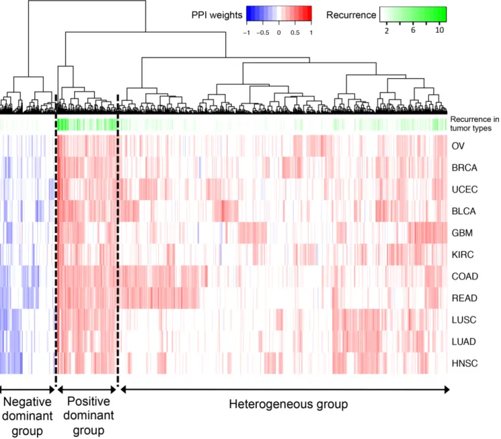 Fig 5. Hierarchical clustering of the 1008 edges in the discovery set. Three edge groups can be observed on the dendrogram: (1) positive dominant, (2) negative dominant and (3) heterogeneous
