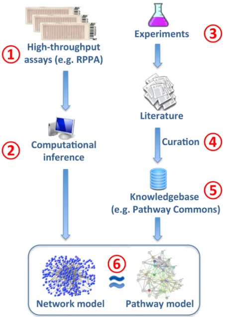 Fig 1. Workflow for the performance evaluation of network inference methods on a proteomic dataset.