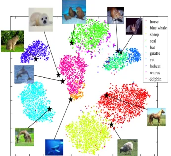 Fig. 4: The t-SNE projection of visual features projected in the label space. Visual points are denoted by “.” and semantic prototypes are represented by stars.
