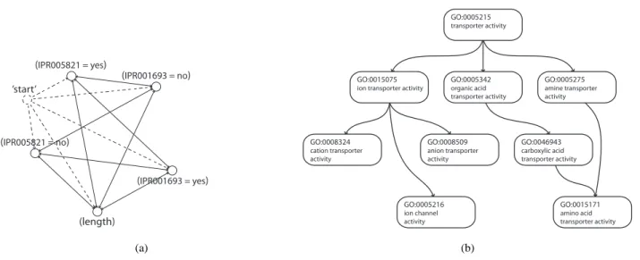 Fig. 1 Examples of the construction graphs employed in hAnt-Miner: in (a) the antecedent construction graph (‘IPR005821’ and ‘IPR001693’