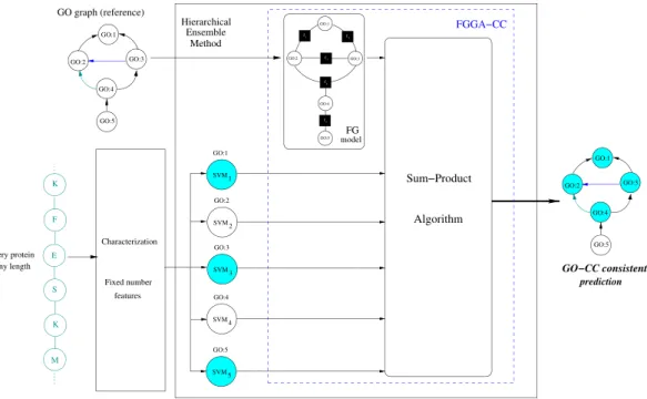 Figure 5.  GO-CC annotation of a protein sequences with FGGA-CC classifiers. A GO-CC subgraph defining  the expected structure of GO-CC predictions is first converted to a factor graph (FG) model