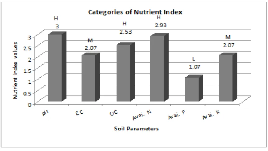TABLE 11. Nutrient index of some soil parameters in the studied area