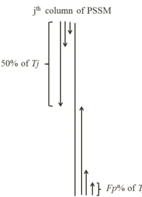 Figure 1: The segmentation method used to extract PSSM-SD feature group from the j th column of PSSM.