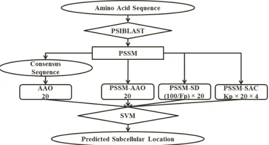 Figure 2: The overall architecture of our proposed approach. The number of features extracted for each feature group is mentioned under its name.