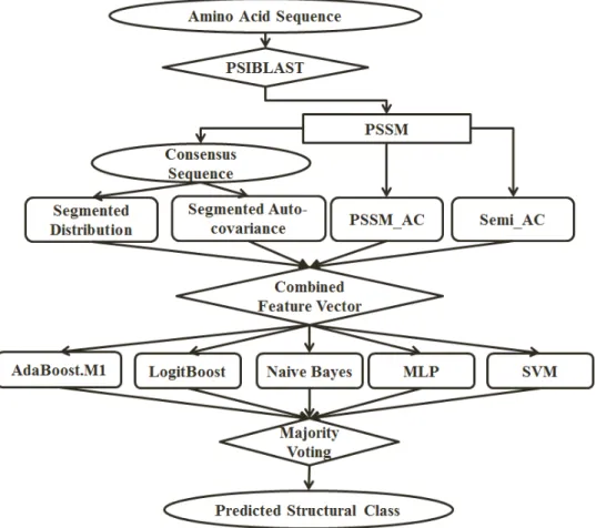 Fig. 2. The overall architecture of the proposed method.
