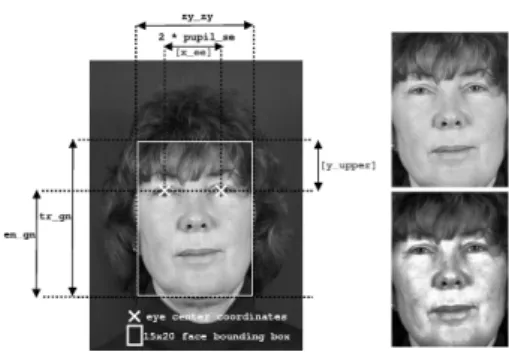 Fig. 2. Face modeling and pre-processing. On the left: the face modeling using eyes center coordinates and facial anthropometry measures