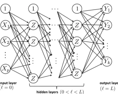 Figure 2.1: An example of feedforward neural network with L + 1 layers. Image taken from the material for Machine Learning course, DEI, Univ