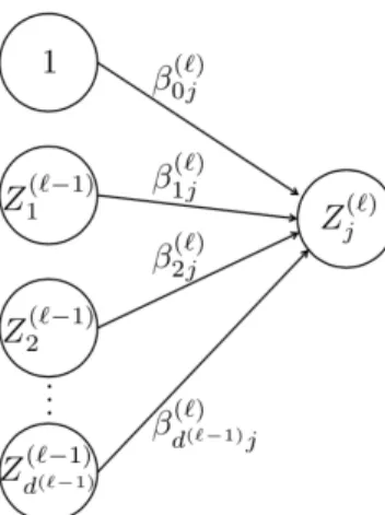 Figure 2.2: The point of view of one node Z j (l) . Image taken from the material for Machine Learning course, DEI, Univ