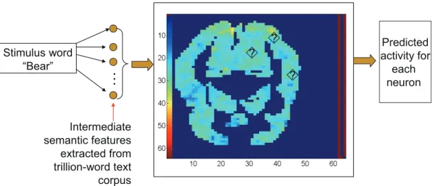 Figure 2.3: The scheme for MTL approach to neuron activity prediction: each neuron corresponds to a task and the features is the co-occurrence rate extracted from text corpus