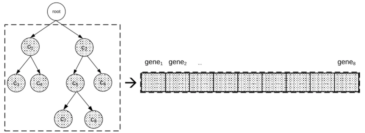 Figure 2: Transformation of the class hierarchical in an individual of the HC-ES 