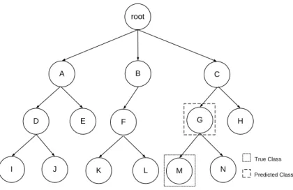 Figure 6: Example of Partially Correct Prediction 