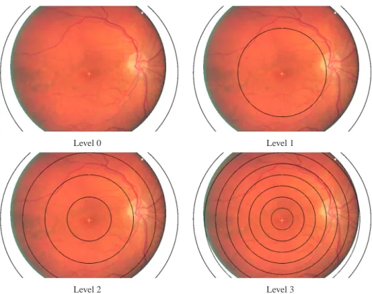Fig. 3. Division of the image into concentric regions at different spatial pyramid levels.