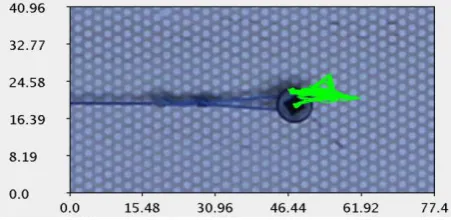 Figure 4: Particle path of m2, x and y-displacement in mm