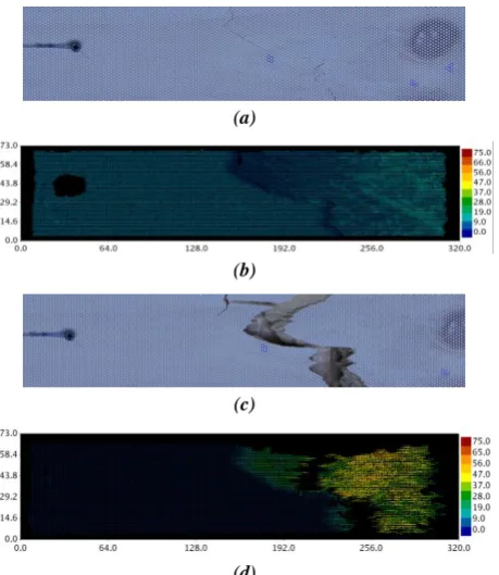 Figure 5: Crack growth and cumulative displacement fields close to m2 in connection 04