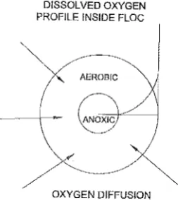 Figure 1.4-1 Schematic of possible dissolved oxygen profile within rnicrobial floc 