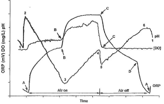 Figure 1.6m1 Generalized schematic of ORP, pH, and DO profiles, main bending 