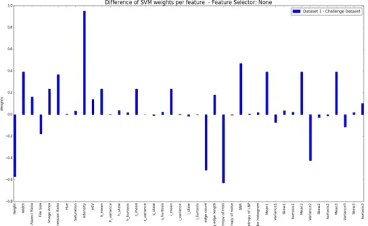 Figure 10: Difference between feature ranks for Dataset 1 and Challenge Dataset