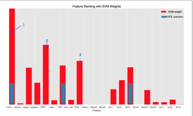 Figure 25: SVM weights ranking with RFE selection in blue bars for dataset 1