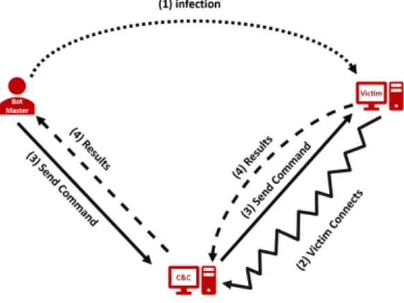 Figure 2.1: Anatomy of a Botnet Attack