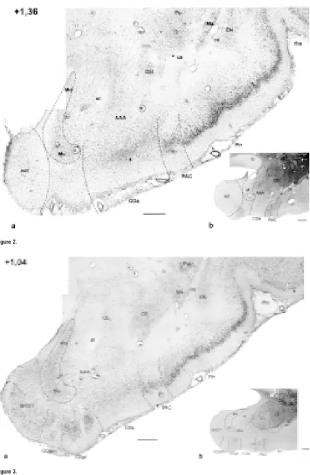 Figure 2.Figure 3.
