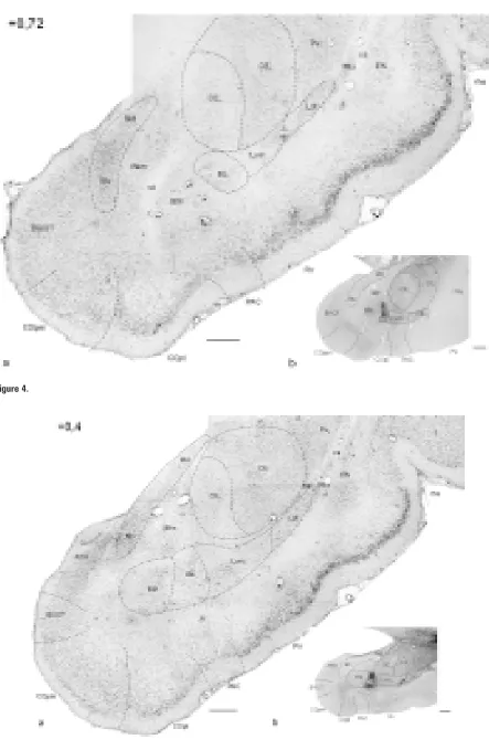 Figure 4.Figure 5.