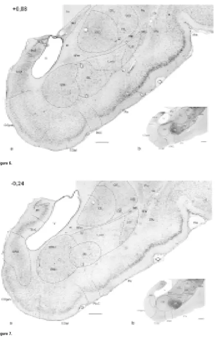 Figure 6.Figure 7.