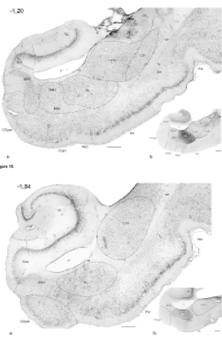 Figure 10.Figure 11.