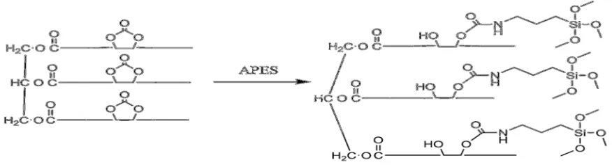 Figure 2: The scheme for the Formation of Urethane Monomer from Reaction of Cyclic Carbonate and APES  